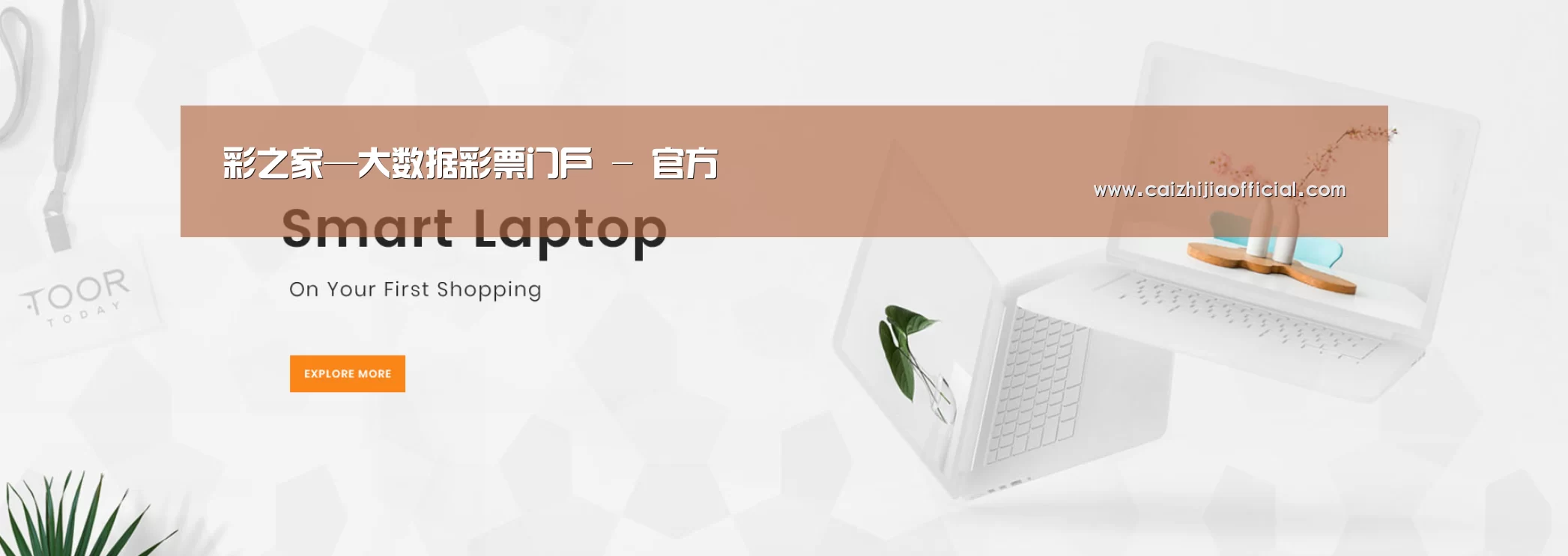 某某网络科技有限公司