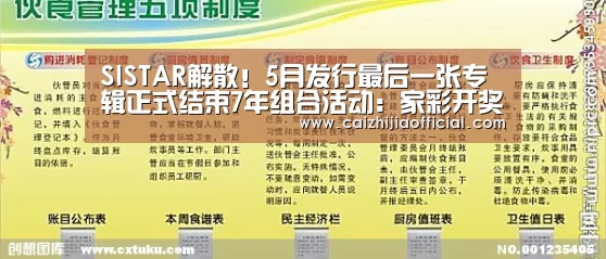 SISTAR解散!5月发行最后一张专辑正式结束7年组合活动:家彩开奖查询(图1) 家彩开奖查询