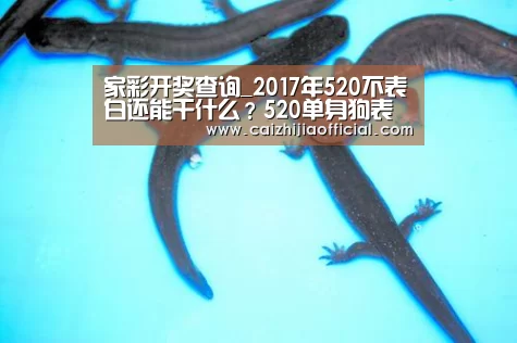 家彩开奖查询_2017年520不表白还能干什么?520单身狗表情包图片大全(图2) 家彩开奖查询