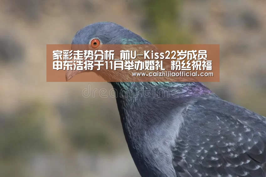 家彩