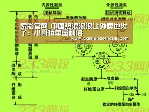 家彩