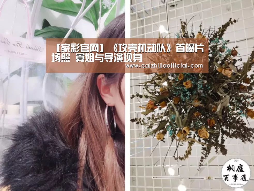 家彩开奖查询