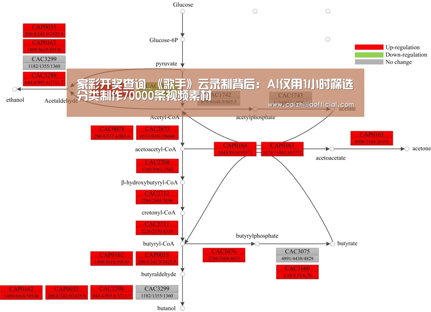 家彩开奖查询_《歌手》云录制背后:AI仅用1小时筛选分类制作70000条视频素材(图2) 家彩