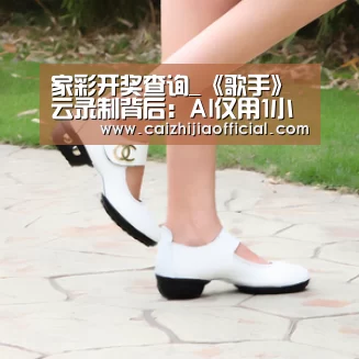 家彩开奖查询_《歌手》云录制背后:AI仅用1小时筛选分类制作70000条视频素材(图3) 家彩开奖查询